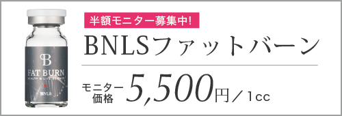 BNLS 11,000円